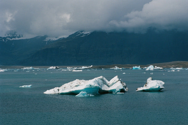 Icebergs floating in a body of water with mountains in the background